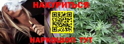 стафф Шелехов
