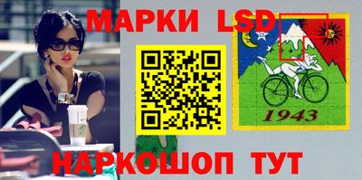 стафф Шелехов