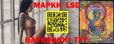 стафф Шелехов