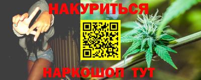 стафф Шелехов