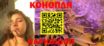 стафф Шелехов