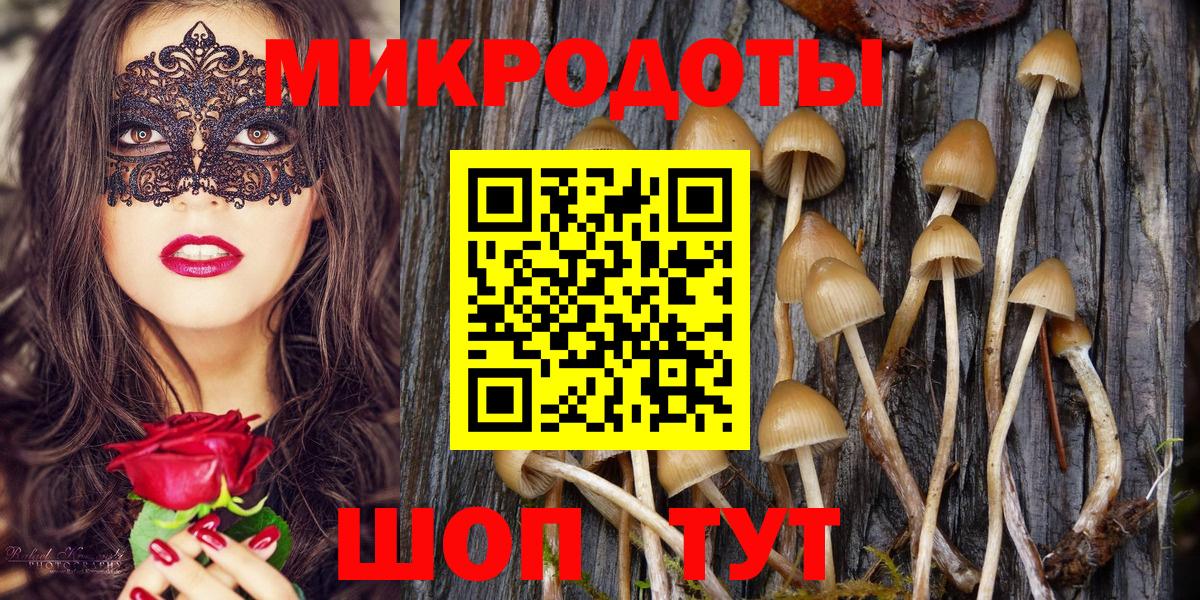 Мурино  Галлюциногенные грибы Psilocybine cubensis  купить закладку  Вход с VPN 